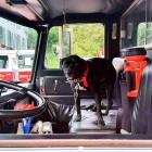 9-16-16-sophie-fire-truck1