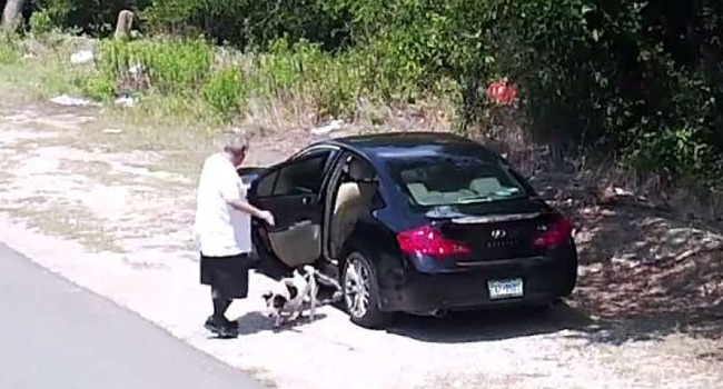 This Dog’s Cruel Abandonment Was Captured On Video, But Her Story Has A Happy Ending. This Dog’s Cruel Abandonment Was Captured On Video, But Her Story Has A Happy Ending.