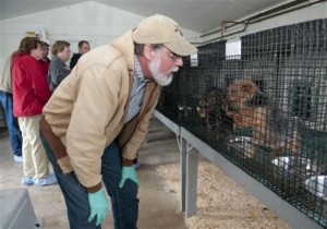 puppy mill pa puppy mill pa