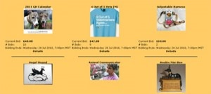 auction auction
