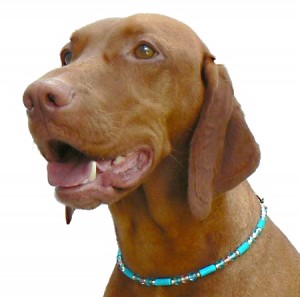 doggie stylish collar Rigby Beaded Co 4934c5d1ea310