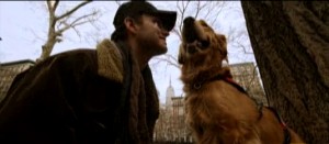 nat geo and man created dog nat geo and man created dog