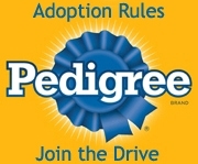 pedigree adoption drive badge from life with dogs