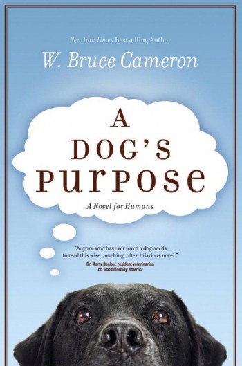 a dogs purpose bruce cameron
