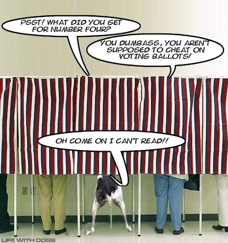 voting booth1
