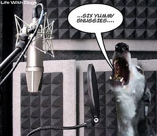 nigel buggers in the studio nigel buggers in the studio
