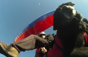 paragliding with kui