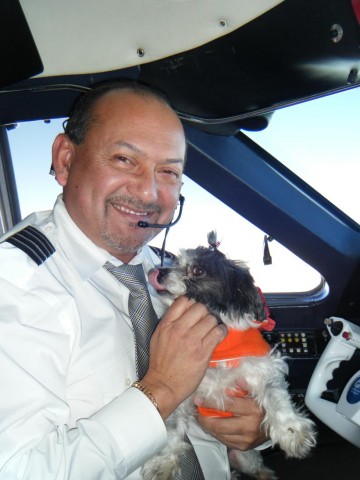 orange dog pilot