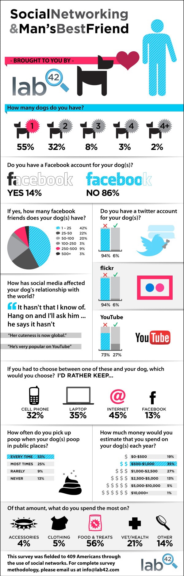 lab 42 social dog survey infographic