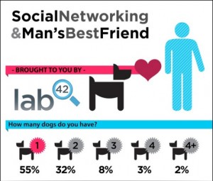 lab 42 social dog survey infographic1