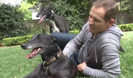mckenney on greyhound adoption mckenney on greyhound adoption