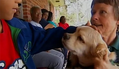 post tornado therapy dog post tornado therapy dog