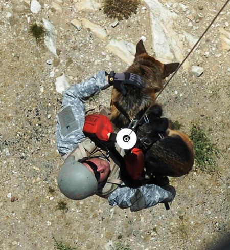 dog helicopter deployment