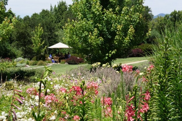 Lambert Winery Gardens