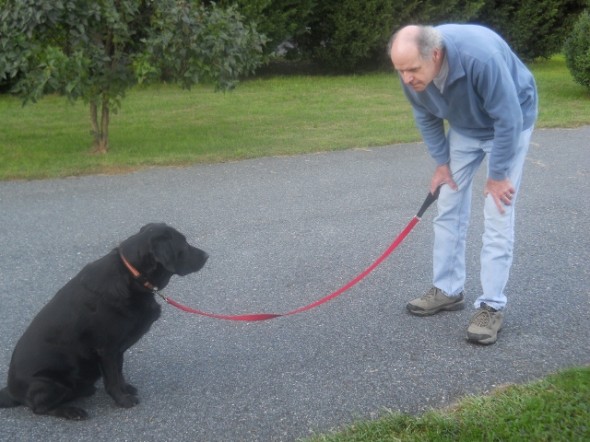 Not the best way to stand when caling your dogs. 