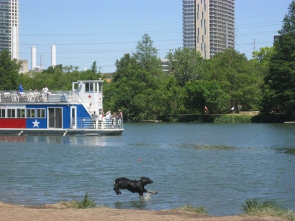 Dog Jumping in Ladybird Lake