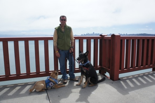 Dogs Take a Break On Golden Gate Bridge