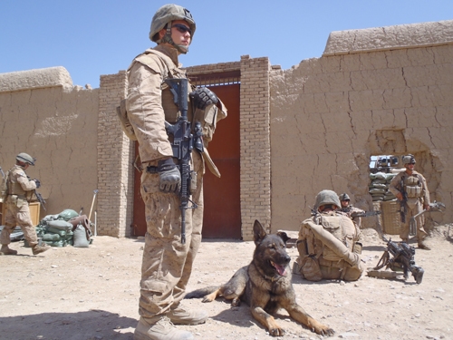 military dog and handler