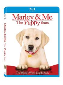 Marley and Me The Puppy Years