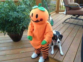 Abby Dog and Pumpkin