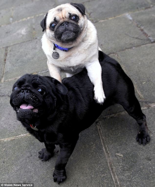 franky and elly franky and elly