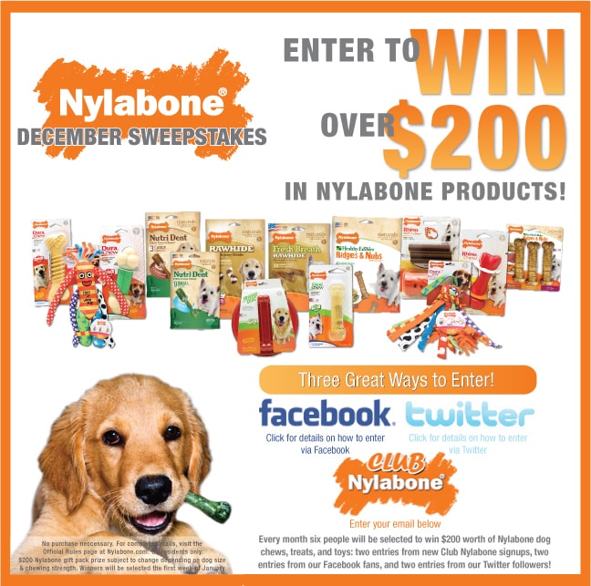nylabone nylabone