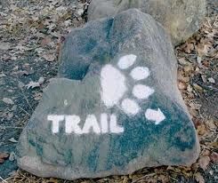 trail marker with a dog paw image sprayed on rock