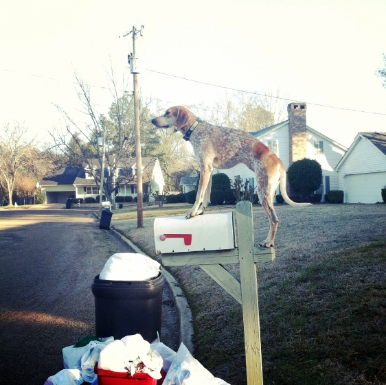 maddie on things2 maddie on things2