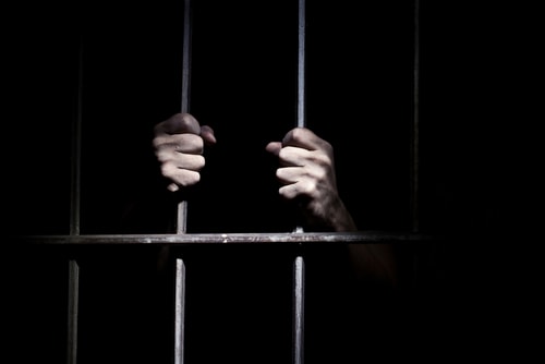 Dog fighter jailed shutterstock 86779999