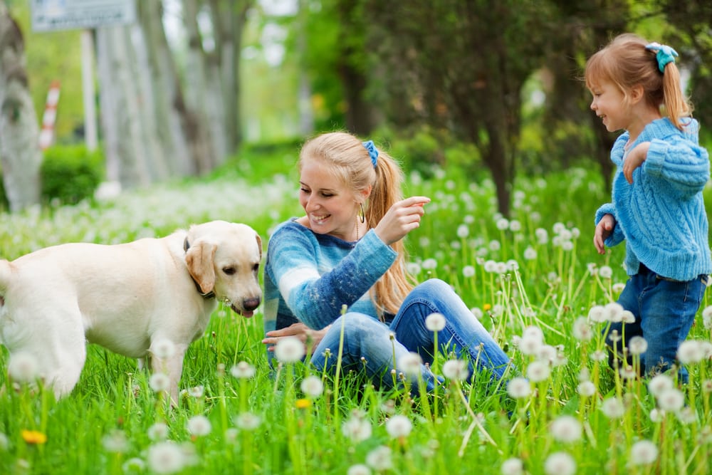 shutterstock_30320320 shutterstock 30320320
