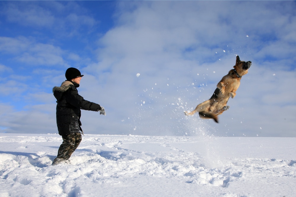 shutterstock_92863978 shutterstock 92863978