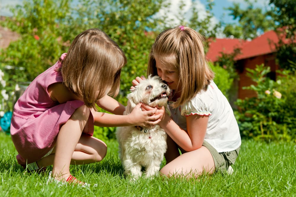 shutterstock_93878575 shutterstock 93878575
