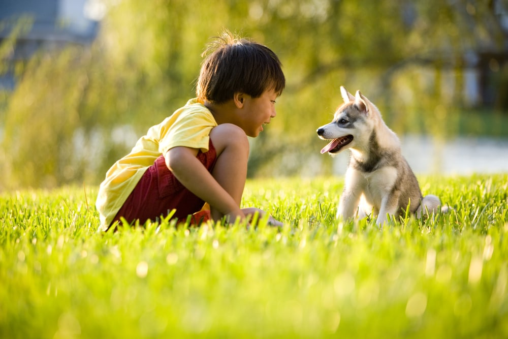 shutterstock 39704332