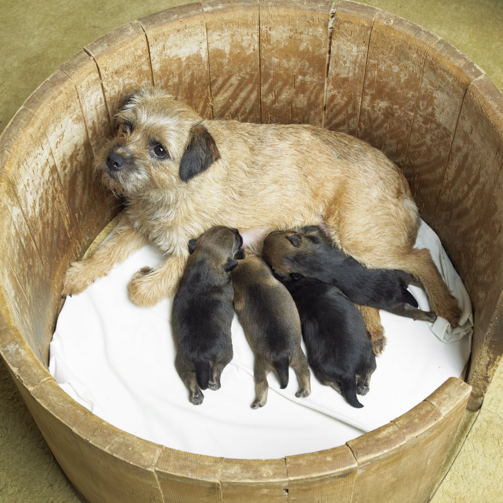 shutterstock 65158786