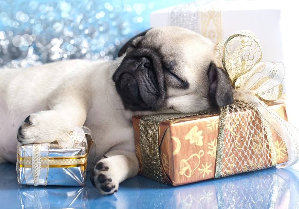 shutterstock 88032418