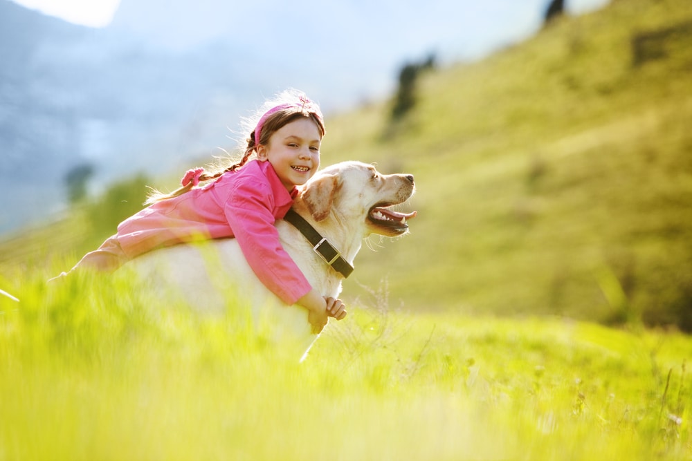 Why we adopt shutterstock 84698737