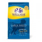 web wellness large breed puppy