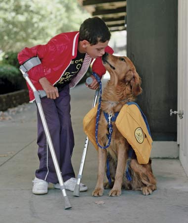 New Law Provides Protections for Service Dogs and Their Owners