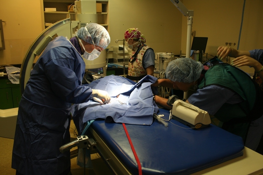 Angell Cardiology Team Operates on Lyssa