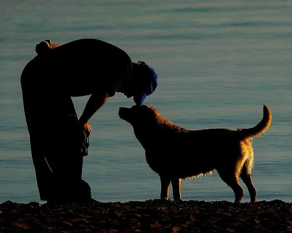 man and dog
