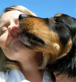 raleigh dating sites