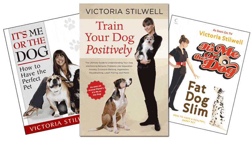 AN INTERVIEW WITH VICTORIA STILWELL LIFE WITH DOGS