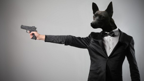 dog shooting