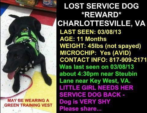 3.15.13 Missing Service Dog