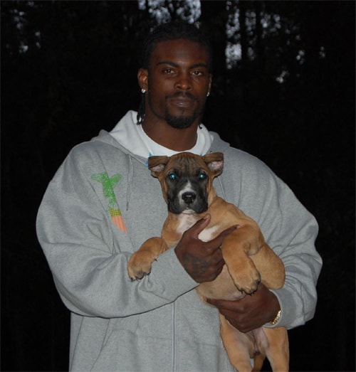 Training Like Michael Vick: A Comprehensive Guide - Image 4