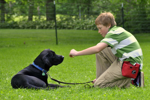 4.17.13 Boy Trains Dog