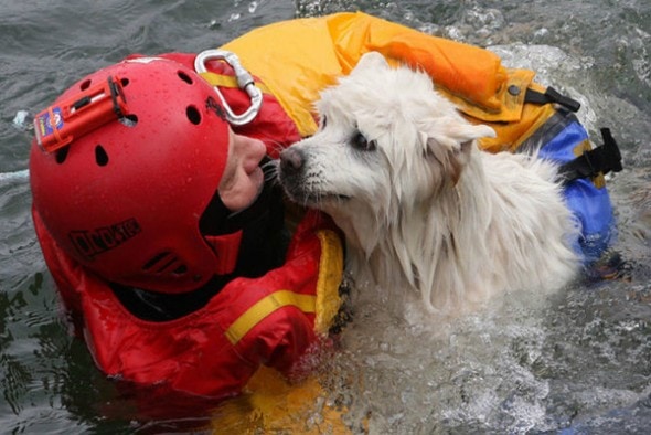 4.26.13 Blind Dog Rescue5