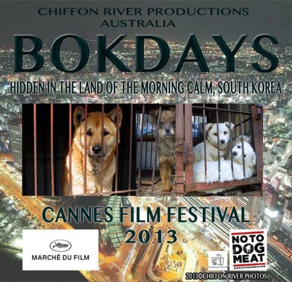 Bokdays movie at Cannes Film Festival 130518 Bokdays.2jpg