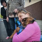 5.17.13 Dog Hugs Rescuer