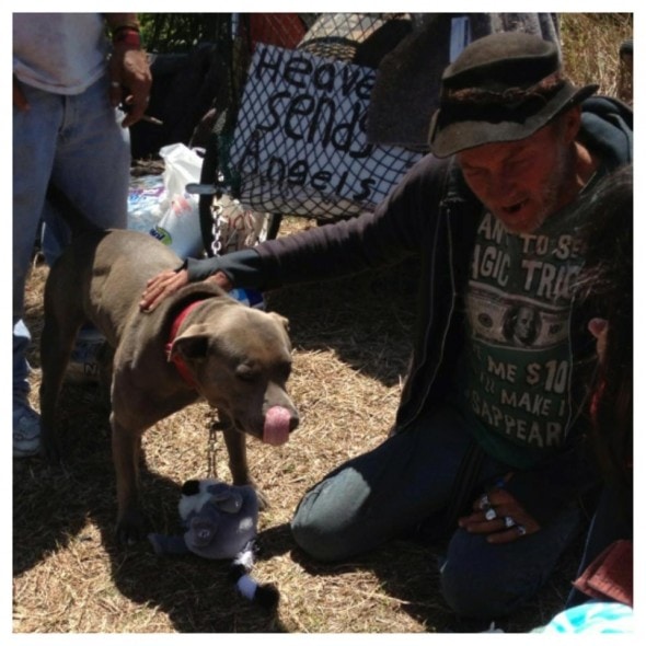 5.17.13 - Missing Homeless Dog 2 5.17.13 Missing Homeless Dog 2